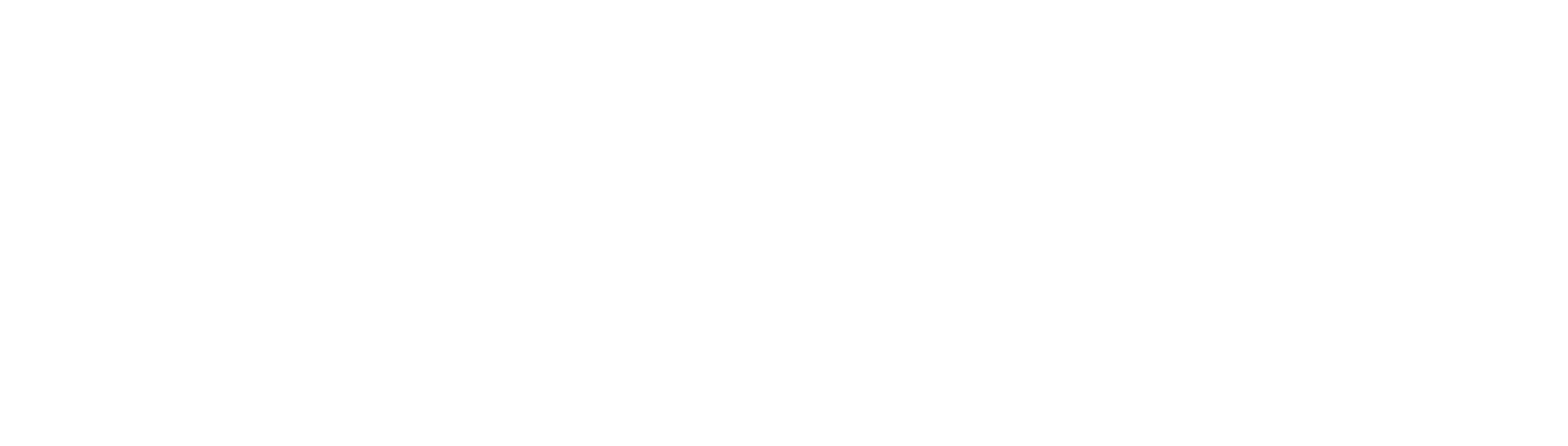 ADANA ALTAY TURBO